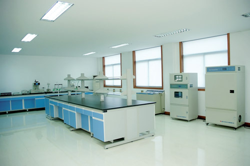 恒溫恒濕凈化實(shí)驗(yàn)室工作區(qū) 恒溫恒濕凈化實(shí)驗(yàn)室工作區(qū)